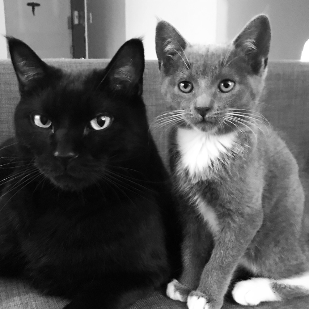 Meet your Posher, Heather